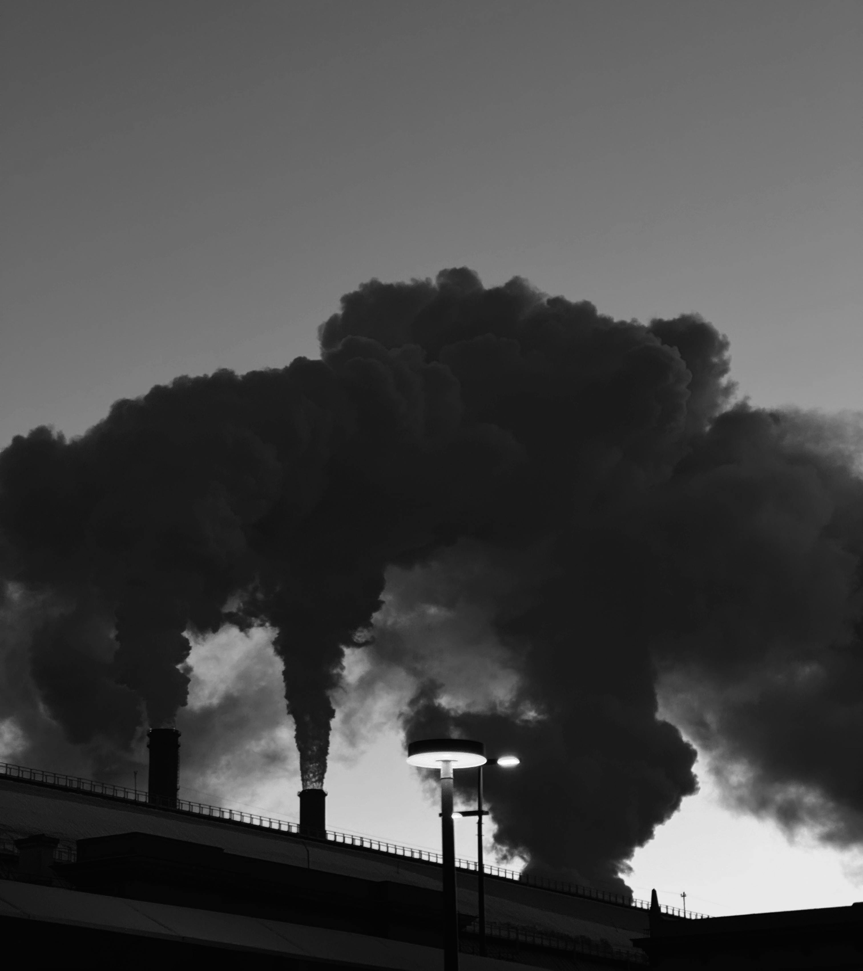 Carbon Footprint Asset